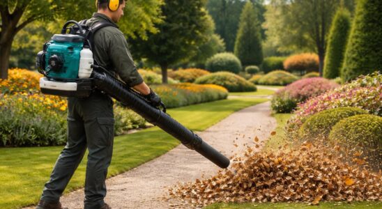 découvrez notre avis complet sur le souffleur thermique makita, l'outil professionnel idéal pour entretenir et nettoyer facilement vos grands jardins.