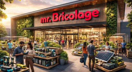découvrez les ambitions innovantes de mr. bricolage pour 2026 et comment le groupe prépare l'avenir du bricolage avec de nouvelles stratégies et projets.