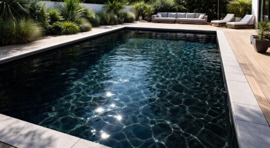 découvrez comment une piscine au fond noir sublime le rendu de l'eau tout en offrant des avantages esthétiques et pratiques pour votre espace extérieur.