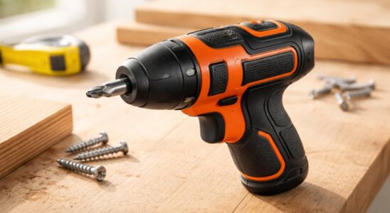 découvrez le tournevis sans fil black & decker, un outil compact et puissant, idéal pour tous vos montages et travaux de bricolage. praticité et efficacité garantis !