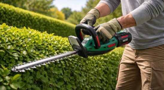 découvrez notre avis complet sur le taille-haie bosch ahs 50-20 li, un outil sans-fil alliant performance, maniabilité et autonomie pour un jardinage facilité.