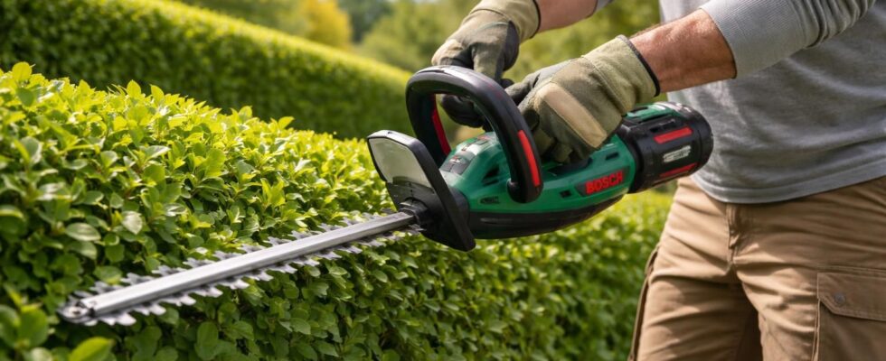 découvrez notre avis complet sur le taille-haie bosch ahs 50-20 li, un outil sans-fil alliant performance, maniabilité et autonomie pour un jardinage facilité.