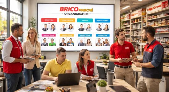 découvrez l'organigramme de bricomarché et explorez les différents services proposés par cette enseigne pour mieux comprendre son fonctionnement et ses offres.