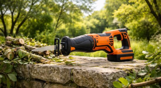 découvrez la scie sabre black & decker, l'outil idéal alliant puissance et autonomie pour entretenir votre jardin en toute liberté.