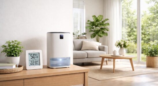 découvrez notre guide d'achat complet pour lutter contre l'humidité dans votre maison et prévenir l'apparition de moisissures efficacement.