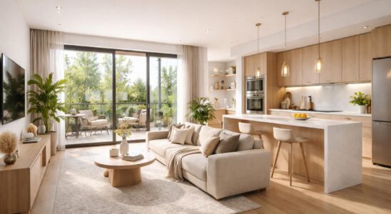 découvrez quel type d'appartement rencontre le plus de succès sur le marché immobilier actuel et comment faire le meilleur choix pour votre achat ou vente.