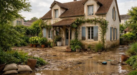 découvrez comment être situé en zone inondable peut influencer le prix de vente d'un bien immobilier et quelles sont les conséquences pour les acheteurs et vendeurs.
